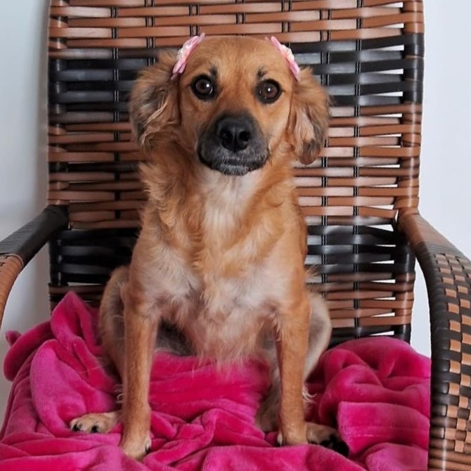 Foto da Jade